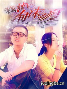 我的泡沫之夏剧情介绍(1-20全集)海报