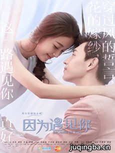 因为遇见你剧情介绍(1-46全集)海报