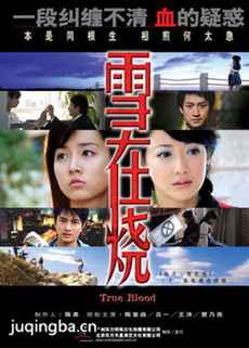 雪在烧剧情介绍(1-32全集)海报