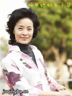 城里媳妇乡下婆剧情介绍(1-26全集)海报