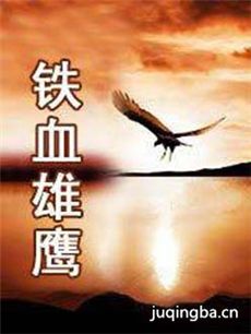 铁血雄鹰剧情介绍(1-40全集)海报