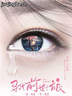 寻找前世之旅剧情介绍(1-12全集)海报