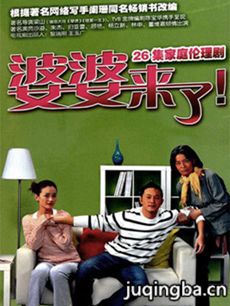 电视剧《婆婆来了》剧情介绍(1-26全集)海报