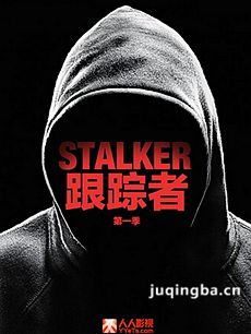 美剧跟踪者剧情介绍(1-20全集)海报