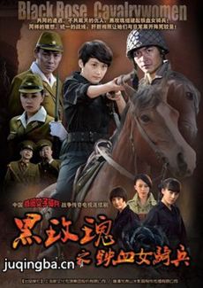 复仇黑玫瑰剧情介绍(1-31全集)海报