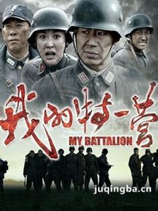 我的特一营剧情介绍海报