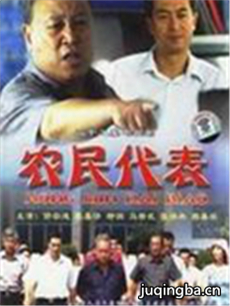农民代表剧情介绍(1-22全集)海报
