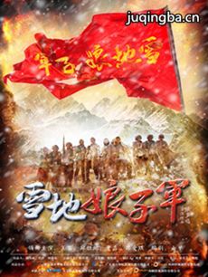 雪地娘子军剧情介绍(1-43全集)海报