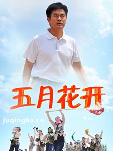 电视剧五月花开剧情介绍(1-22全集)海报