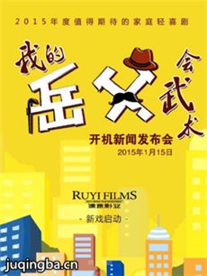 我的岳父会武术剧情介绍(1-40全集)海报