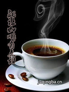 就让咖啡有点甜剧情介绍(1-39全集)海报