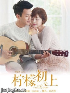 电视剧《柠檬初上》剧情介绍(1-42全集)海报