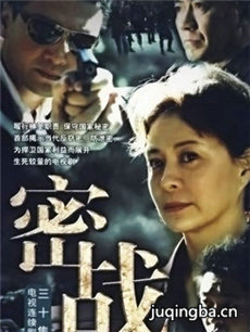 密战剧情介绍(1-30全集)海报