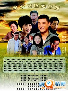 永不褪色的家园剧情介绍(1-30全集)海报