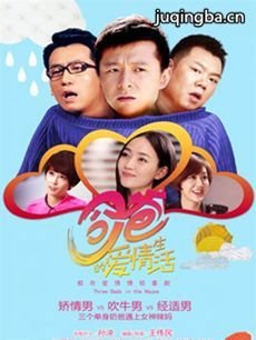 奶爸的爱情生活剧情介绍(1-32全集)海报